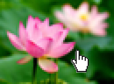 One click enlightenment lotus