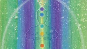 outline of human body showing chakras and energy torus