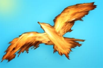 firebird in the sky
