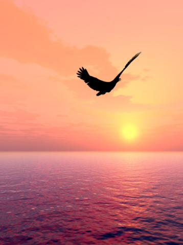 Ilchi-Lee_flying-eagle_20140205_newsletter