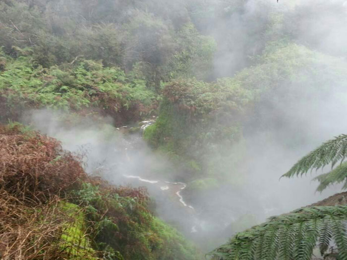 Ilchi-Lee_New-Zealand-mist-landscape_20140715