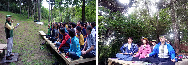 Ilchi-Lee_NZ-Park-Meditation