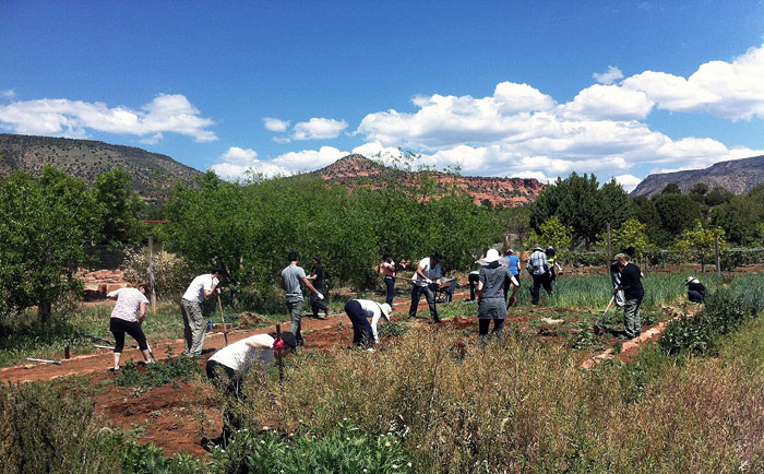 organic farming