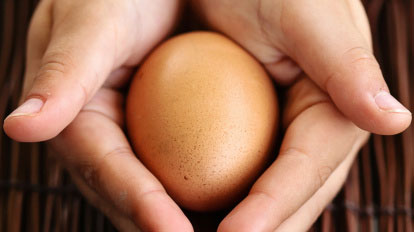 hands holding a brown egg