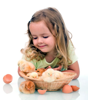 girl with baby chickens/chicks