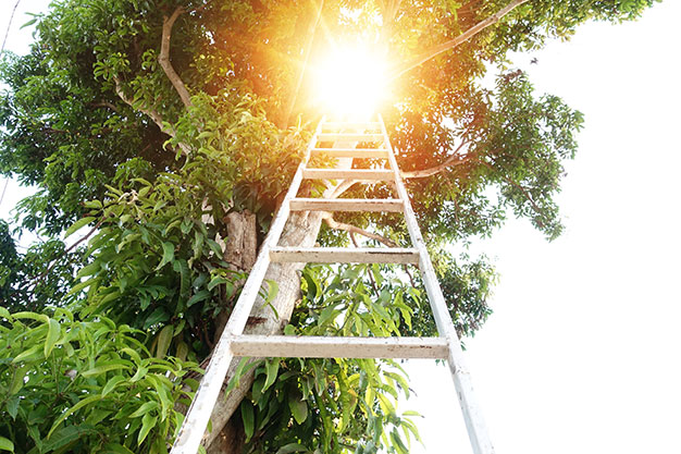 ladder to the sky | The Tao of Suicide