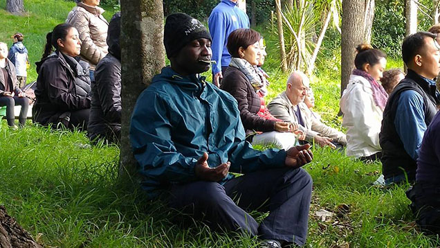 Group meditating on a grassy clearing in the woods in New Zealand