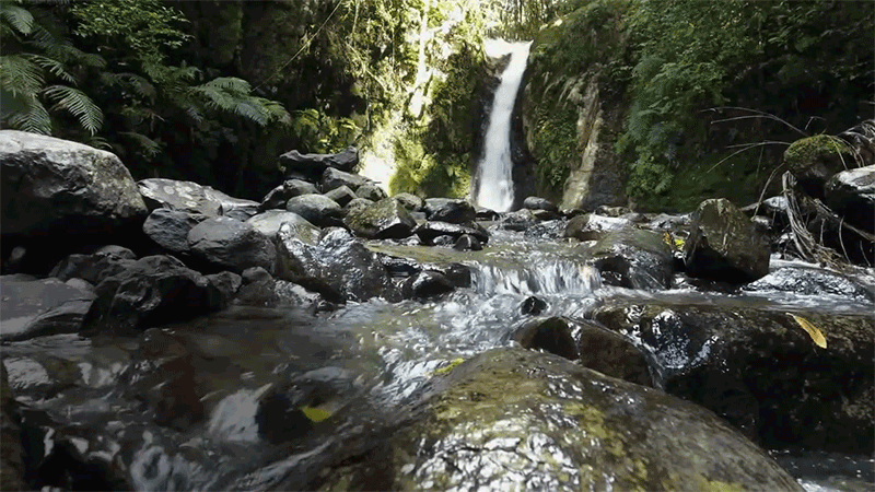 Beautiful New Zealand Waterfall