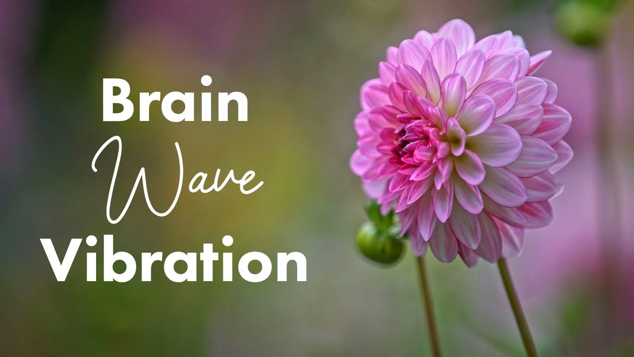 [Video] How to Use Vibration to Manage Your Brain Ilchi Lee