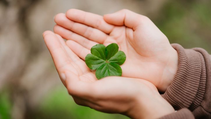 4 leaf clover in cupped hands