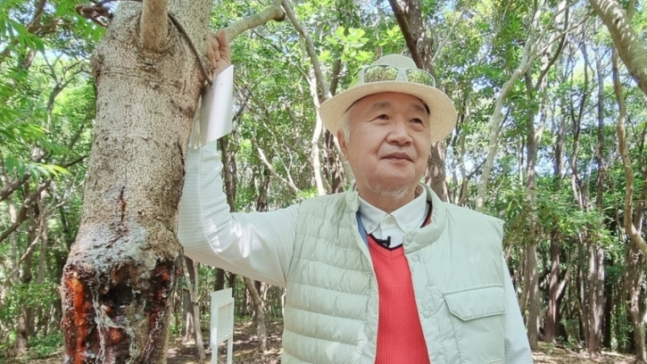 Ilchi Lee in Japanese forest