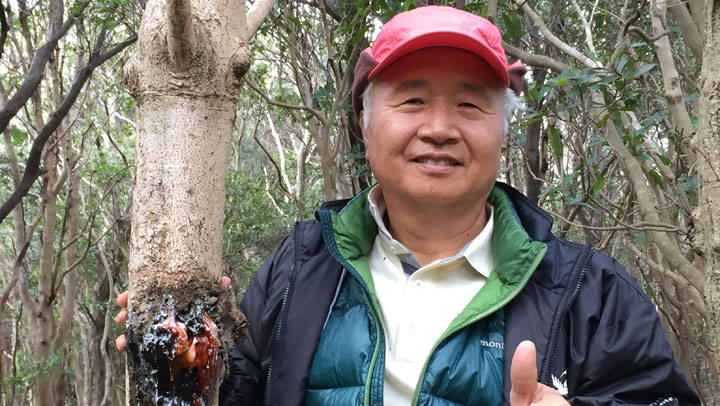 Ilchi Lee with hwangchil tree