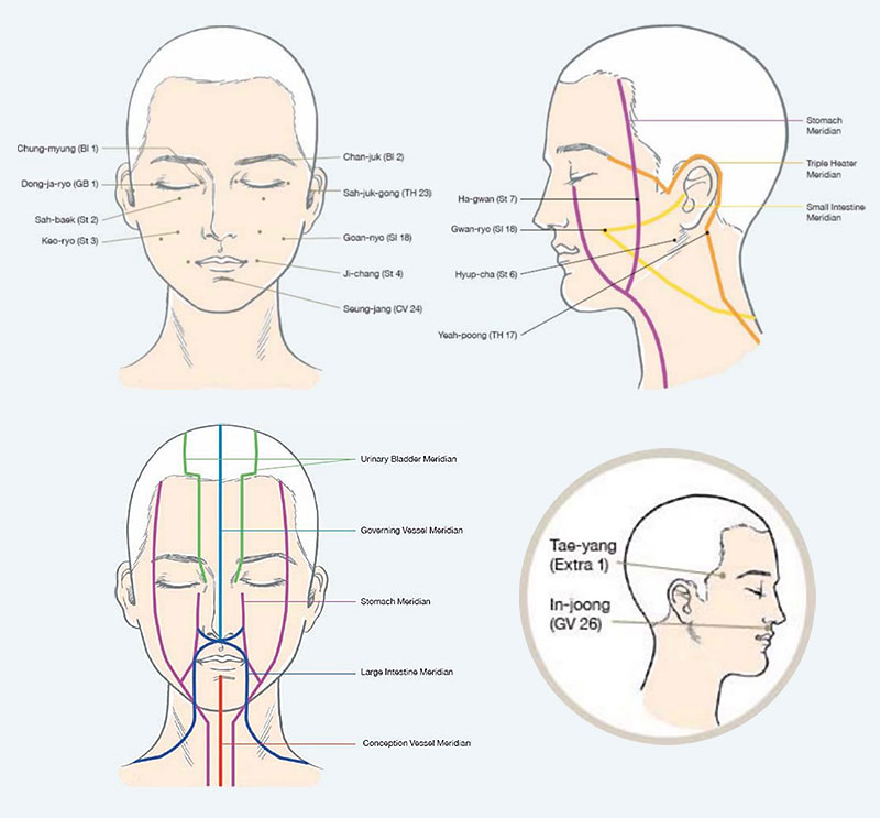 acupressure points and meridian channels on the face and head