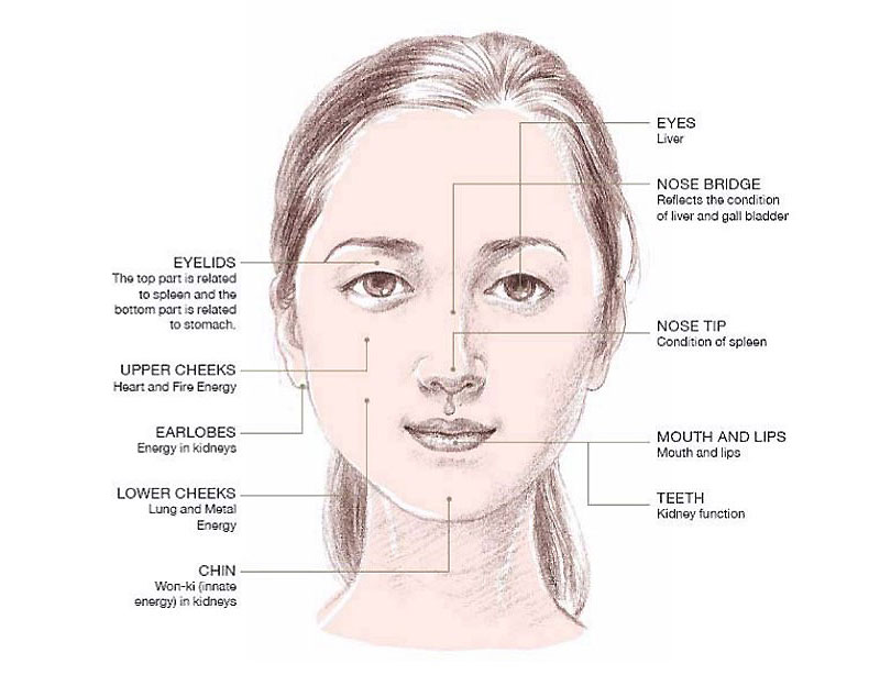 facial reflexology areas