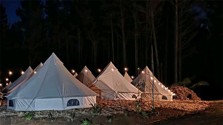 Glamping tents